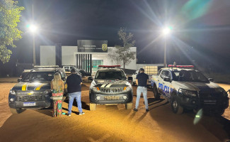 Forças de Segurança do Tocantins e Goiás deflagram operação Sem Fronteiras e prendem homem considerado o “maior ladrão” de caminhonetes da região Norte do país