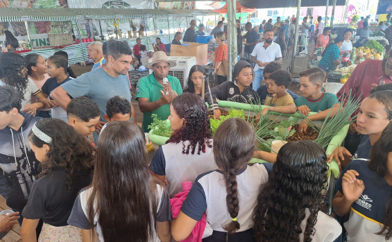 Governo do Tocantins promove 13ª edição da Feira da Colheita com atendimentos sobre aposentadoria rural, salário-maternidade e palestras técnicas em Araguatins