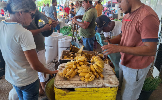 Governo do Tocantins promove 13ª edição da Feira da Colheita com atendimentos sobre aposentadoria rural, salário-maternidade e palestras técnicas em Araguatins