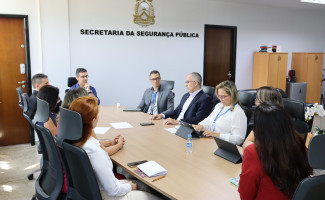 Segurança Pública, MPTO e Secretaria da Mulher de Palmas iniciam tratativas para fortalecimento da rede de atendimento a mulheres