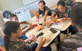 Com ações do Governo do Tocantins, escolas estaduais são destaques na evolução do Ideb nos anos finais do ensino fundamental
