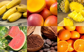 Governo do Tocantins abre inscrições para a 1ª Rota da Fruticultura