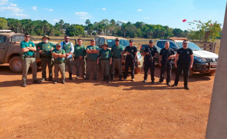 Polícia Civil do Tocantins apoia Operação Caryocar I no combate ao desmatamento ilegal