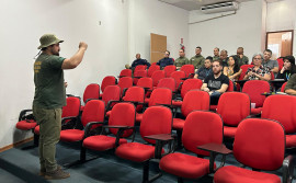 Governo do Tocantins promove oficina para fortalecer a fiscalização e a preservação do capim-dourado e do buriti


