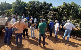 Governo do Tocantins inicia 1ª Rota da Fruticultura no Projeto de Irrigação Manuel Alves, em Dianópolis 
