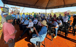Para apresentar as tecnologias da produção de abacaxi, o Governo do Tocantins leva a Rota da Fruticultura à região central do Estado