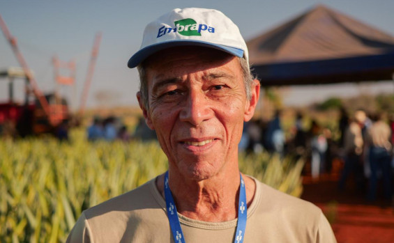 Governo do Tocantins leva Rota da Fruticultura à região central do Estado para apresentar as tecnologias da produção de abacaxi