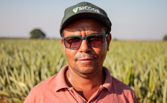 Governo do Tocantins leva Rota da Fruticultura à região central do Estado para apresentar as tecnologias da produção de abacaxi