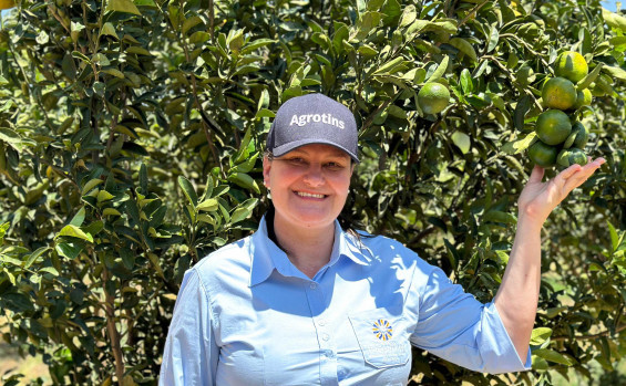 Em Itapiratins, Governo do Tocantins apresenta aos produtores alternativas para produção de laranja e limão 