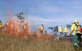 Governo do Tocantins garante proteção das Unidades de Conservação com ações da Brigada Gavião Fumaça
