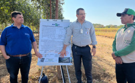 Governo do Tocantins apoia capacitação de produtores sobre cadeia produtiva da mandioca
