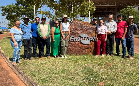 Governo do Tocantins apoia capacitação de produtores sobre cadeia produtiva da mandioca 