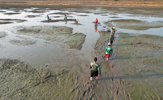 Durante Operação Gigante do Araguaia, Governo do Tocantins salva mais de 150 peixes na Ilha do Bananal