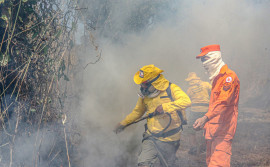 Corpo de Bombeiros Militar já atendeu mais de 1.760 ocorrências de combate a incêndios florestais