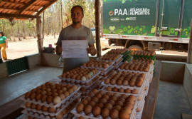 Governo do Tocantins destina R$ 1,5 milhão para PAA Indígena e apoia produtor rural de Pedro Afonso na entrega de 3 mil ovos