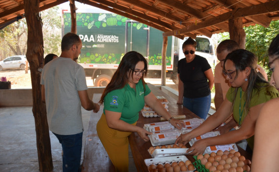 Governo do Tocantins destina R$ 1,5 milhão para PAA Indígena e apoia produtor rural de Pedro Afonso na entrega de 3.000 ovos