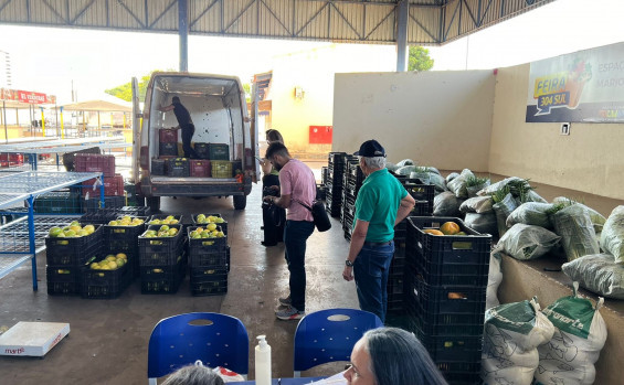 Governo do Tocantins destina R$ 1,5 milhão para PAA Indígena e apoia produtor rural de Pedro Afonso na entrega de 3.000 ovos