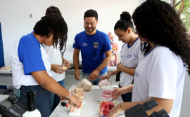 Seduc oferece curso técnico em enfermagem integrado à Educação de Jovens e Adultos