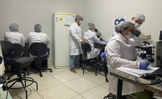 SES-TO capacita profissionais dos laboratórios da macrorregião norte