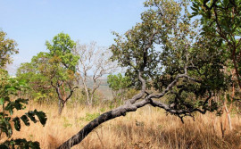 Governo do Tocantins divulga Boletim Climático com dados atualizados de 10 a 16 de setembro