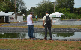 Com parceira do Governo do Tocantins, projeto pioneiro busca melhorar nutrição e alimentação de tambaquis em viveiros escavados 