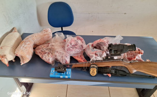 Em Almas, Polícia Civil prende homem pelos crimes de posse ilegal de arma de fogo e caça de animais silvestres