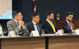 No STF, Governo do Tocantins evidencia gravidade dos incêndios em áreas federais da Ilha do Bananal