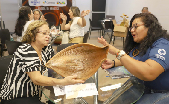 Com apoio do Governo do Tocantins, artesãos tocantinenses participam da Feira Nacional de Artesanato e Cultura