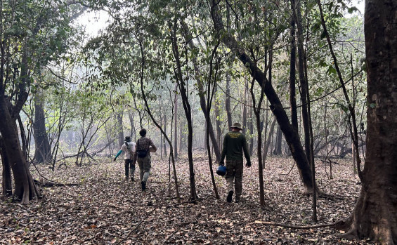 Governo do Tocantins conclui 3ª campanha de monitoramento pró-ariranha no Parque Estadual do Cantão