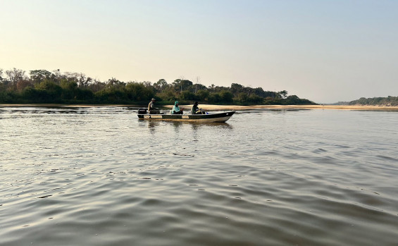 Governo do Tocantins conclui 3ª campanha de monitoramento pró-ariranha no Parque Estadual do Cantão