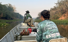 Governo do Tocantins conclui 3ª campanha de monitoramento Pró-ariranha no Parque Estadual do Cantão