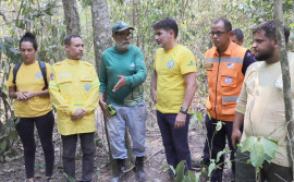 No Parque Estadual do Cantão, Governo do Tocantins reforça ações de combate aos incêndios florestais