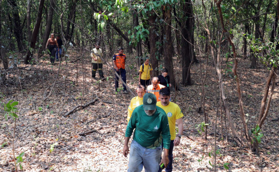 No Parque Estadual do Cantão, Governo do Tocantins reforça ações de combate aos incêndios florestais