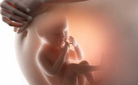 Governo do Tocantins regulamenta o Dia Estadual do Nascituro e de Conscientização sobre os Riscos do Aborto