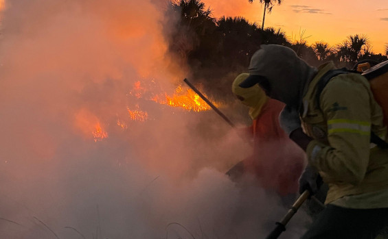 Brigada Gavião Fumaça do Naturatins garante proteção das Unidades de Conservação contra incêndios florestais