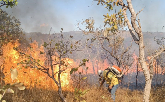 Brigada Gavião Fumaça do Naturatins garante proteção das Unidades de Conservação contra incêndios florestais