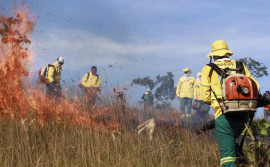 Brigada Gavião Fumaça do Naturatins garante proteção das Unidades de Conservação contra incêndios florestais