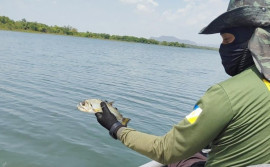Operação Malha Fina do Naturatins apreende 2 mil metros de redes de pesca
