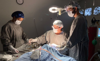 Hospital Regional de Paraíso realiza mutirão de Otorrinolaringologia