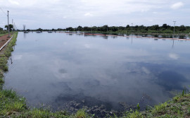 Acordo de cooperação técnica entre Naturatins e Ibama otimiza gestão integrada de atividades potencialmente poluidoras