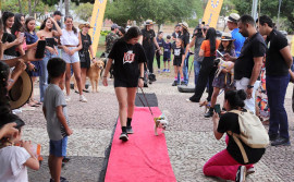 Governo do Tocantins realiza 1ª Feira Estadual de Adoção Pet