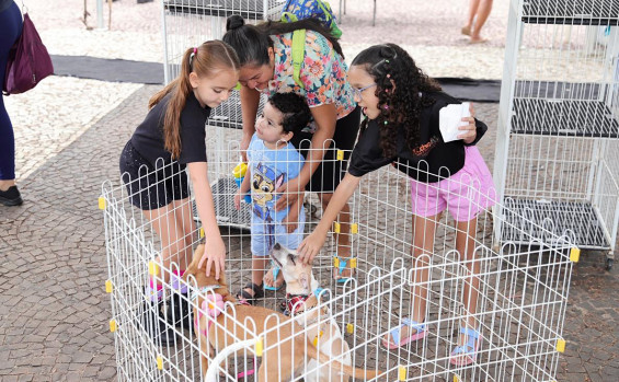 Governo do Tocantins realiza 1ª Feira Estadual de Adoção Pet e promove novos lares para animais abandonados