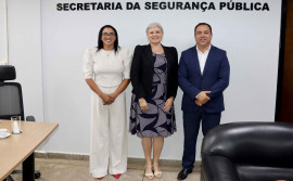Secretaria de Segurança Pública recebe secretária do Ministério das Mulheres para discutir o fortalecimento de políticas de combate à violência contra mulheres
 