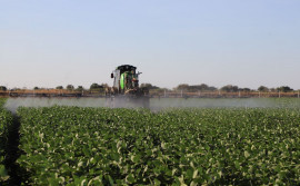 Governo do Tocantins capta R$ 14,5 milhões em edital da Embrapa para ampliar pesquisas agropecuárias da Unitins
