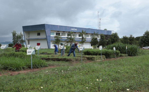 Governo do Tocantins capta R$ 14,5 milhões em edital da Embrapa para ampliar pesquisas agropecuárias da Unitins 