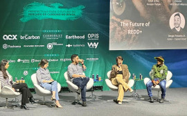 Em São Paulo, Governo do Tocantins destaca desafios sobre o futuro do REDD+ na Conferência Brasileira Clima e Carbono