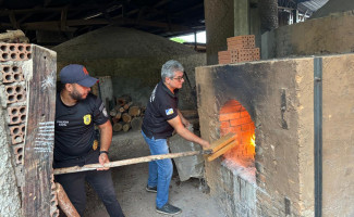 No Sul do Tocantins, Polícia Civil incinera cerca de 400 kg de maconha e gera prejuízo de R$ 1 milhão ao crime organizado