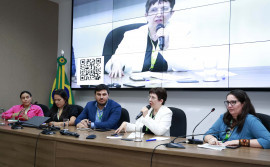 Em Brasília, Governo do Tocantins participa da criação de grupo de trabalho para redução do desmatamento e degradação ambiental  