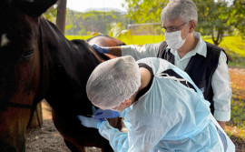 Adapec colabora com Lacen para garantir meios de cultura para testes de meningite e coqueluche 