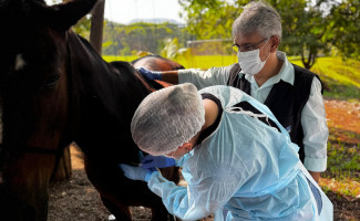 Parceria entre LACEN-TO e Adapec garante meios de cultura para testes de meningite e coqueluche